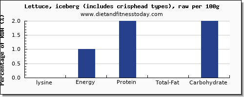lysine and nutrition facts in iceberg lettuce per 100g